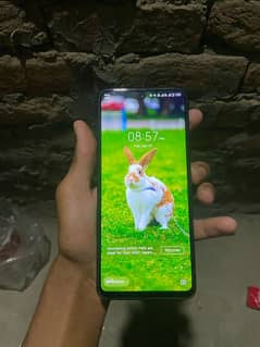 for sale