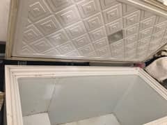 Deep freezer ,waves company, best condition