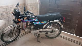 CD 70 applied 4