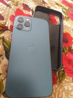 12 pro not pta 256  gp