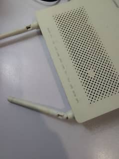 Fiber