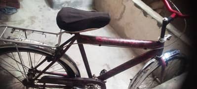Bicycle