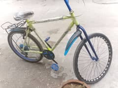 Phoenix cycle brand new for sale