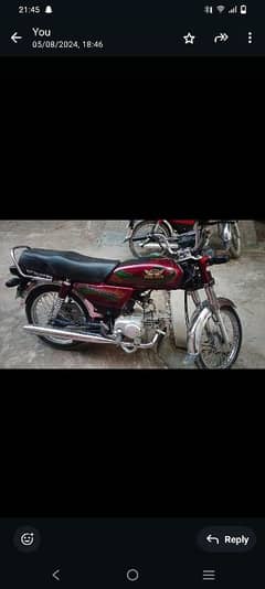 Talha Irfan