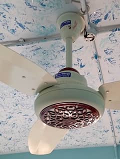 Energy Fan