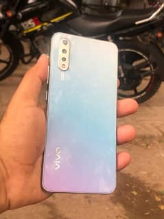 vivo