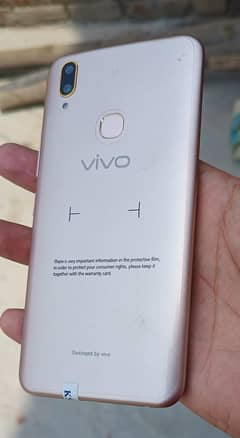 Vivo