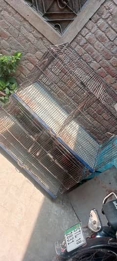 Cage for Sale