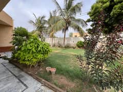 Chance plot for sale