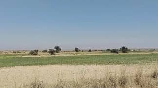 Fertile Agricultural Land