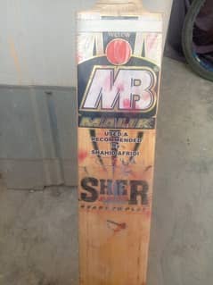 Bat MB sher Amin hard ball