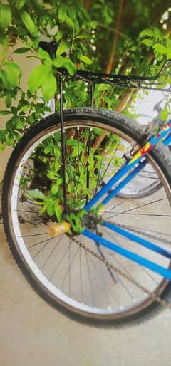 cycle