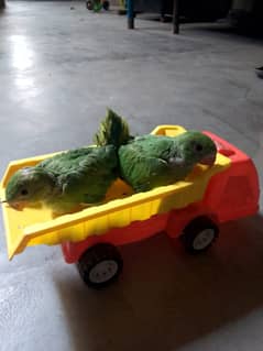 For sell