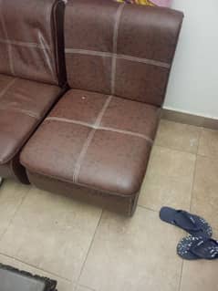 5 seater sofa affordable for home or office use