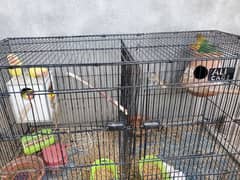 03026611269 whatsapp