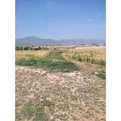 25*40 size plot for sale e 12 /1