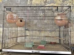 Birds/Hens/Parrot/Aseel  2nd hand Cages For Sale
