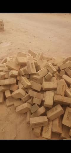 bricks
