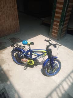 Caspian bicycle