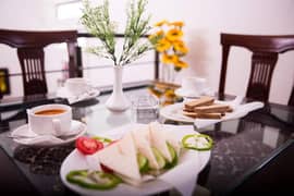 excutive furnished room daily basis rental