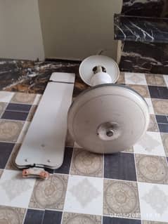 Ceiling fan
