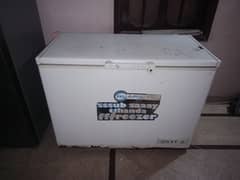 Pel Deep Freezer | D Freezer