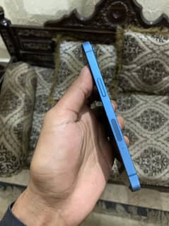 Iphone 13 pta approved (only cashh)