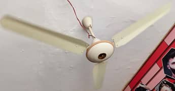 Fan  Copper