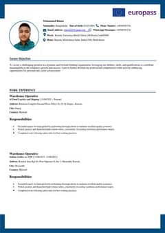 Professional CV Maker for Europe Visa and Jobs