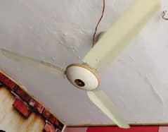 Fan Copper Sufi company