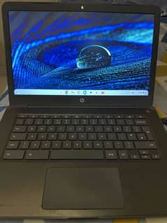 HP