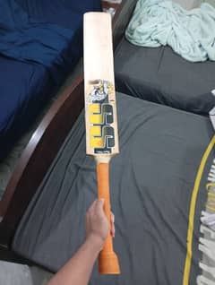 Hardball cricket bat (slightly used)
