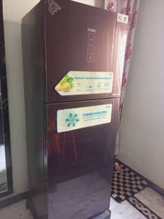 Fridge home used under Warrienty