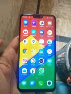 vivo