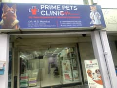 OFFICE BOY REQUIRED FOR PETS CLINIC