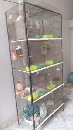 cage 8 potion good condition 10by10