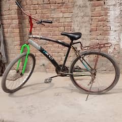 my lovely cycle for sale
