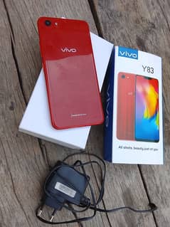 vivo
