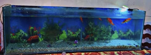 Luxury Aquarium Urgently sale for 15k  rabta num 03495272667