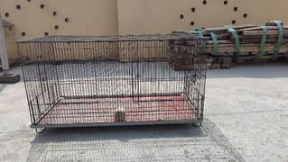 cages for parrots