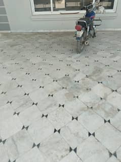 1 Kanal full House available for rent in F-15