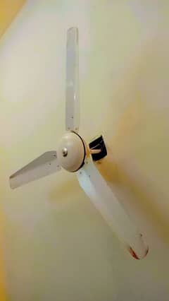 Pak Fan
