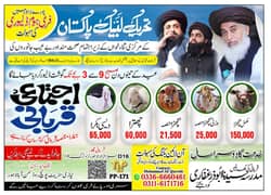 ijtamai qurbani 2025 / bull ,cow ,wacha ,bachra / qurbani hissa