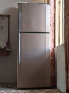 Haier