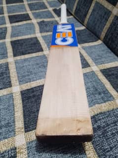 Hard Ball Cricket Bat