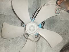 Air Cooler Motor