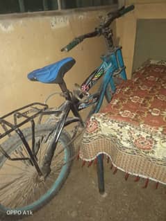 cycle UpTo 12 years