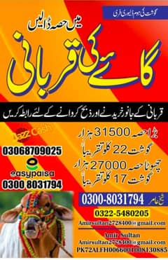 Qurbani hissa (cow/Bull) - ijtamai qurbani