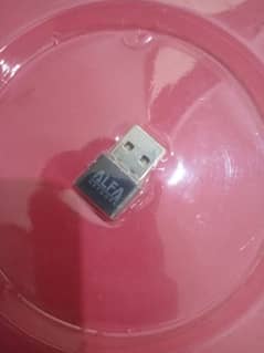 internet dongal
