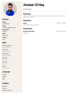 Electrician and plumber